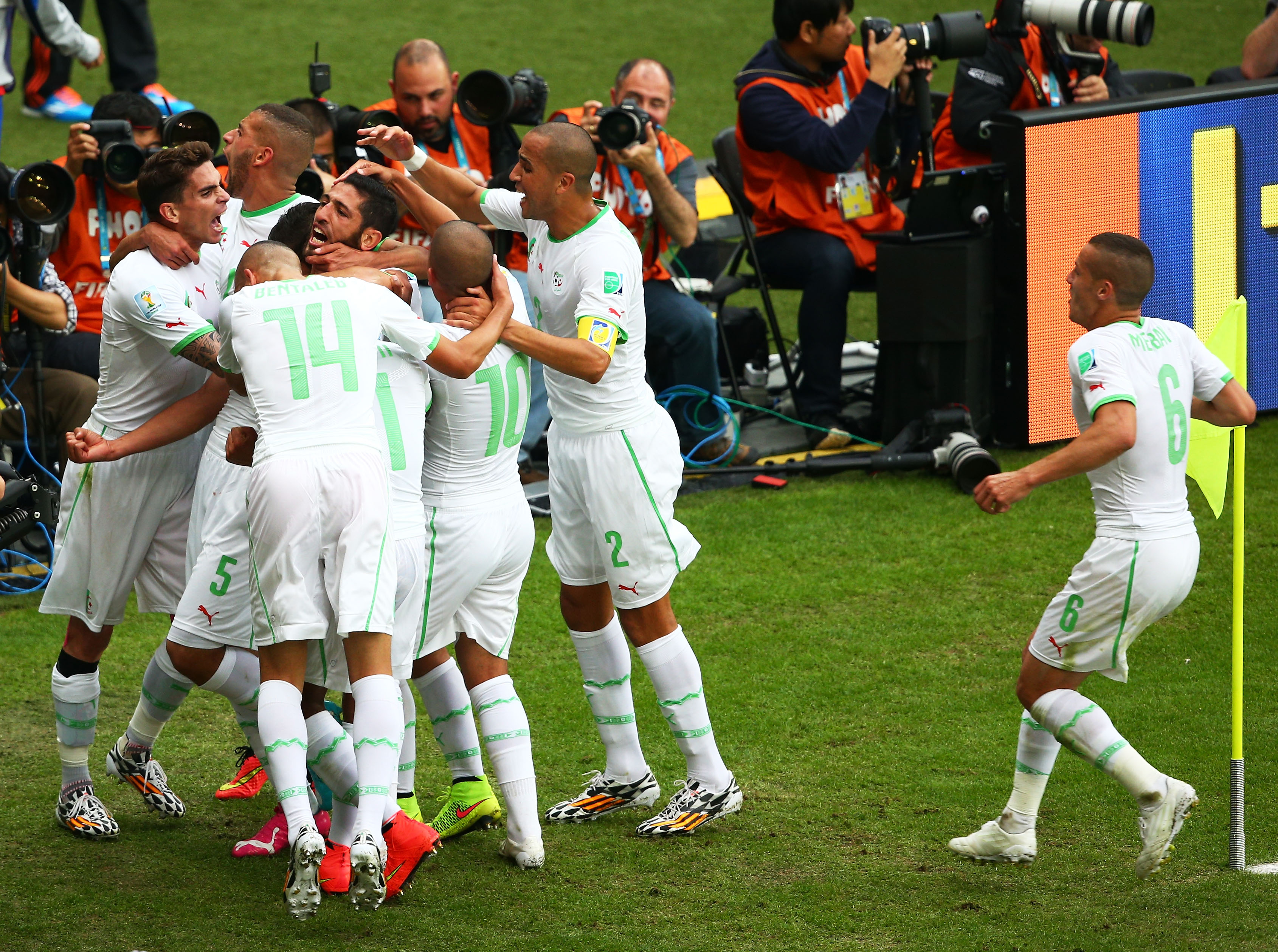 Південна Корея – Алжир. 5 відповідей матчу - изображение 3